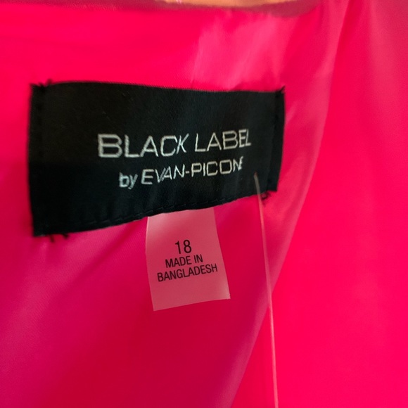 Black Label by Evan Picone new with tags hot pink sheath dress size 18 - Picture 3 of 3